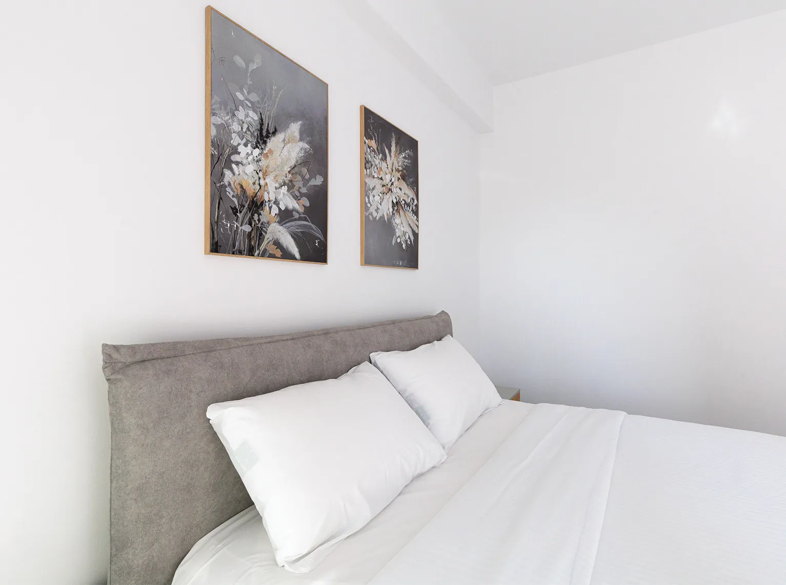 Πετρούπολη | Χρυσοστόμου Σμύρνης - Α2